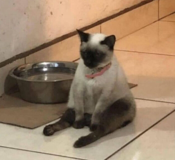 Well... It Could Be Worse