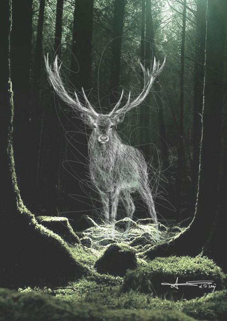 My Illustrations Of Animals And Cute Things In The Forest