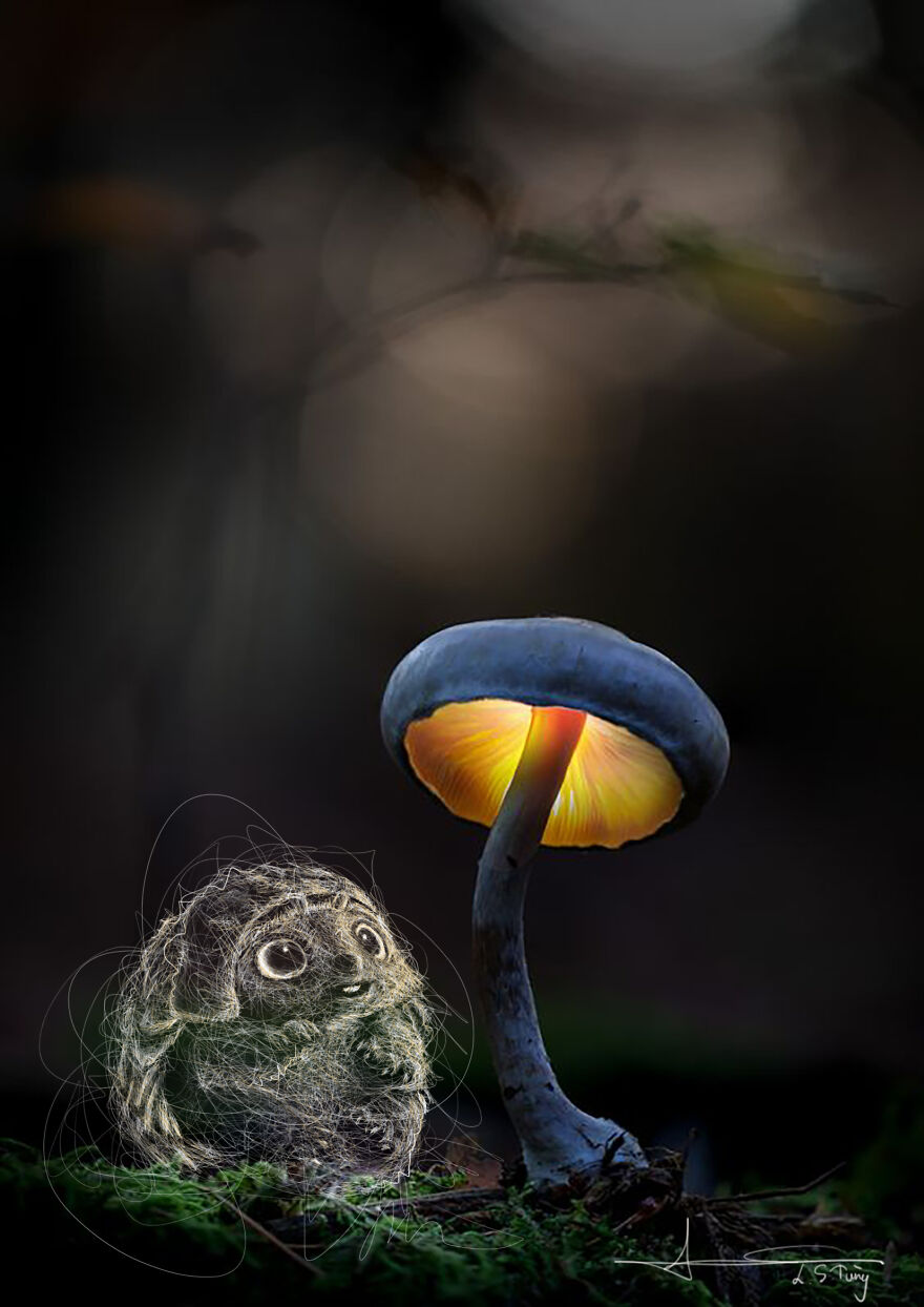 My Illustrations Of Animals And Cute Things In The Forest