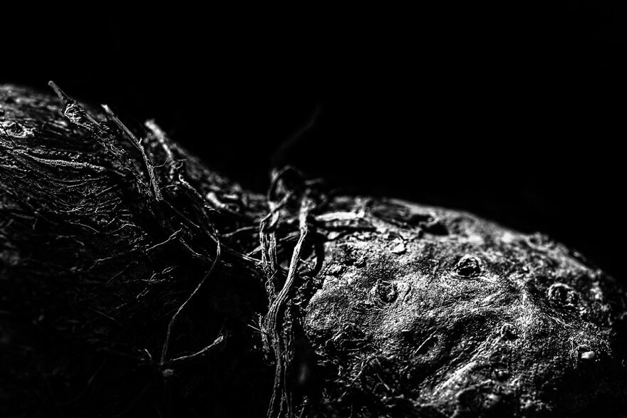 Photographer Creates Series With Foods From His Daily Life In The Pandemic