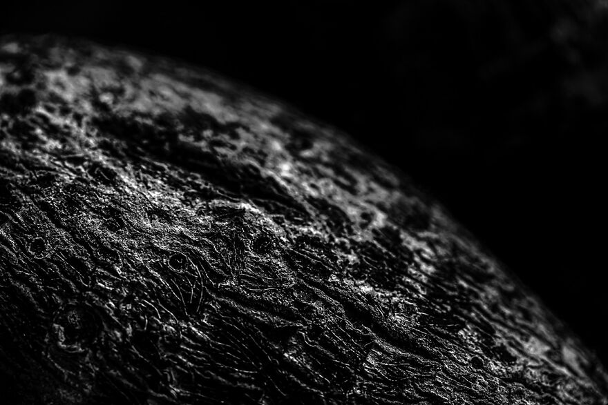 Photographer Creates Series With Foods From His Daily Life In The Pandemic