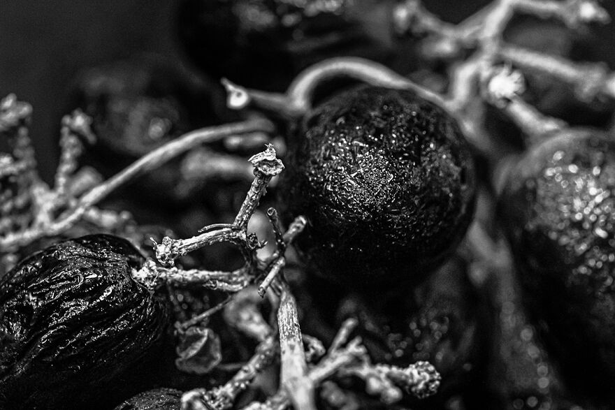 Photographer Creates Series With Foods From His Daily Life In The Pandemic