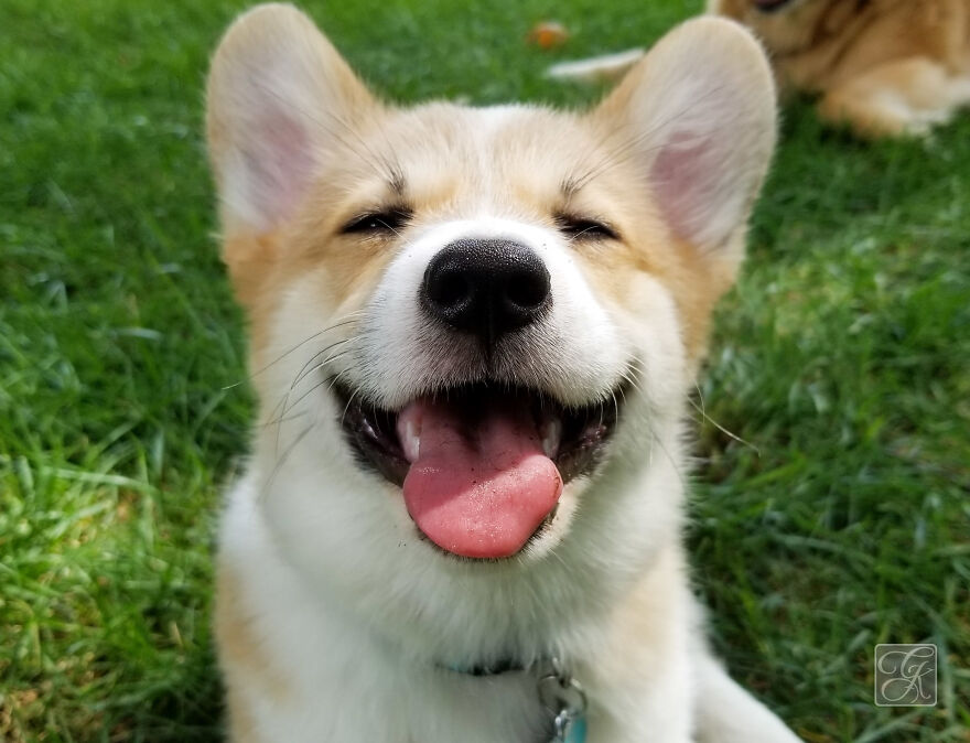 My Lizzy When She Was 14 Months Old!