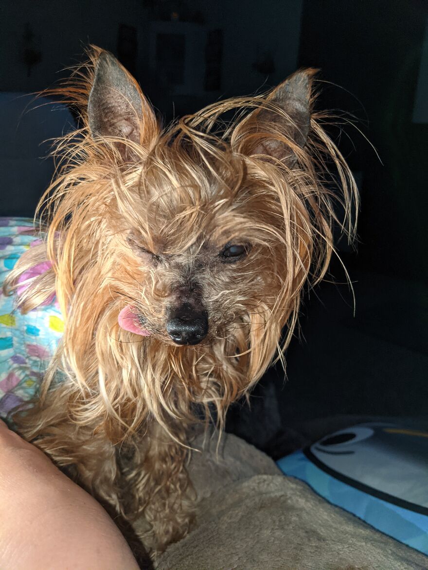 This Is Jilly Bean When You Wake Her From A Nap. So Grumpy! 😆