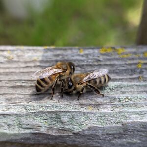 katherinestrojny avatar