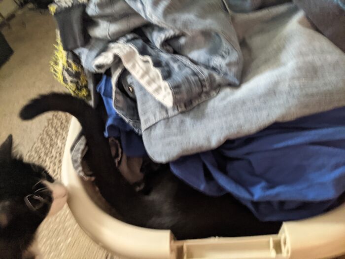 He Does This Every Time