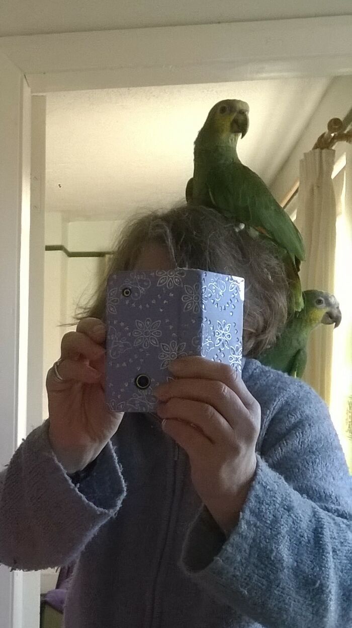 Two Room Mates, Very Noisy Ones That Bite Me Sometimes.