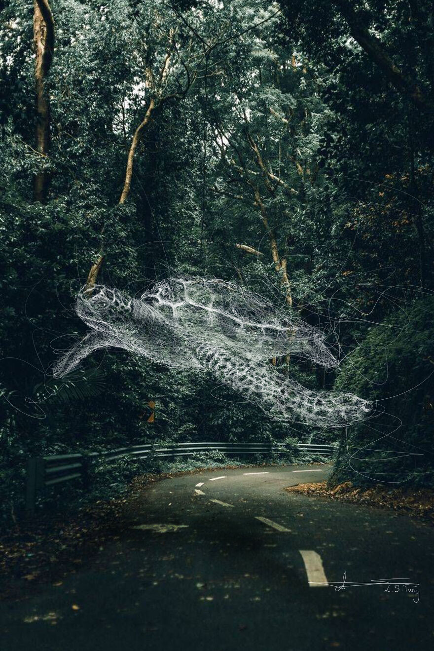 My Illustrations Of Animals And Cute Things In The Forest