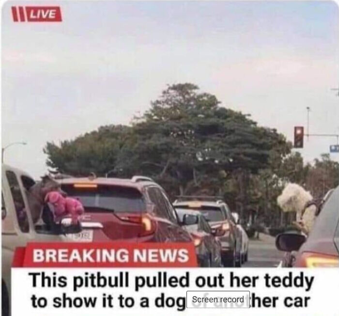 It's Looking Pretty Good, Even Though I Got This From Another Bored Panda Page.