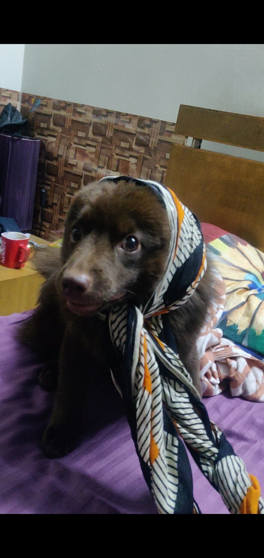 Scarves Aren't For Him Ig