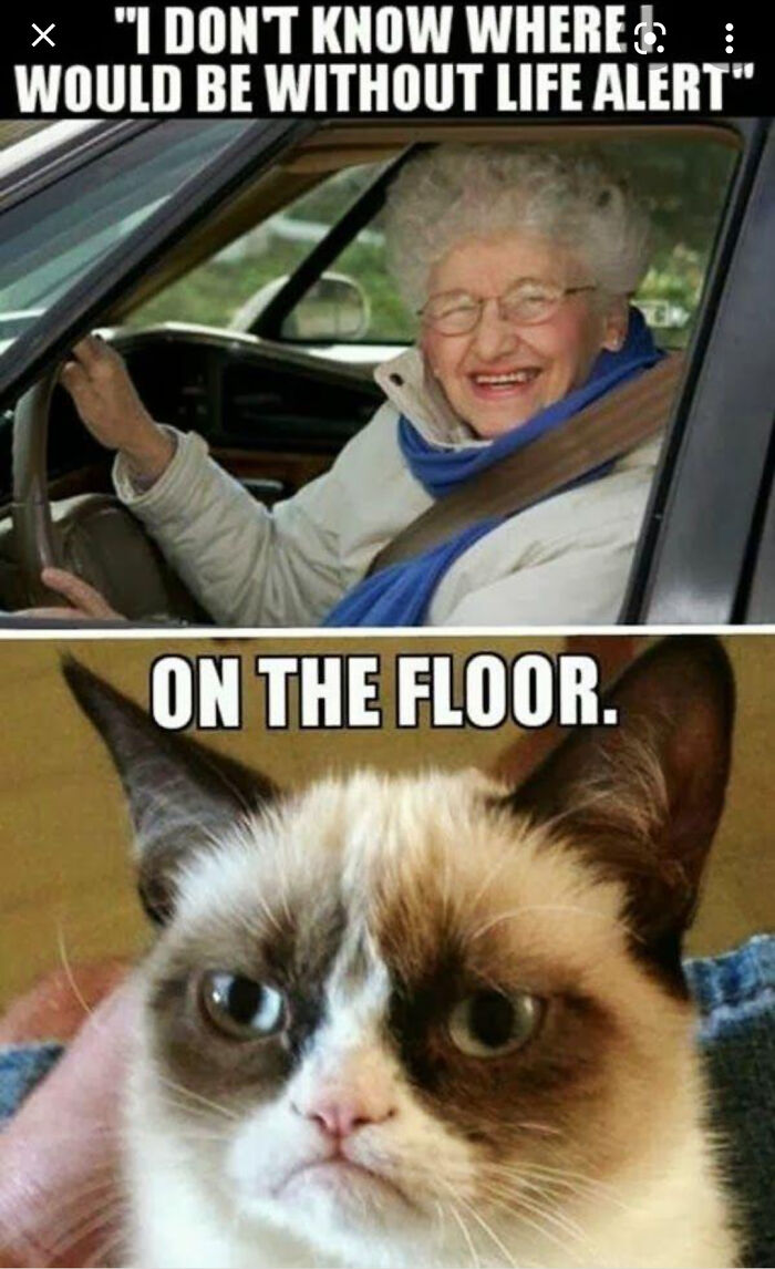 Love Cats. Thanks Op On 9gag