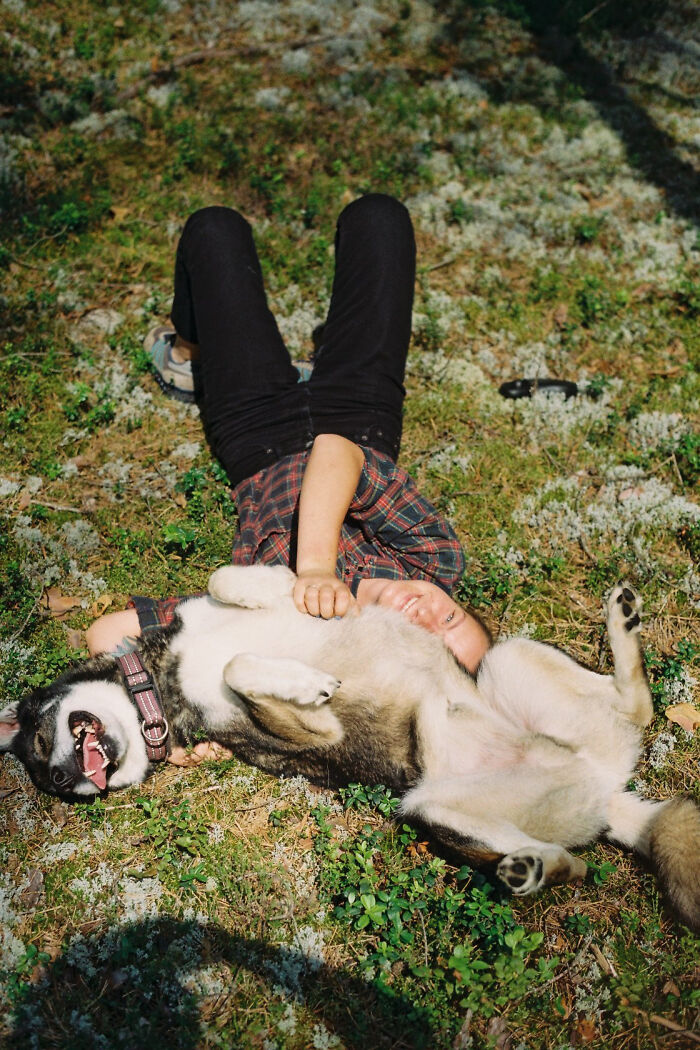 Here's Why You Should let Your Dog Sleep In Your Bed