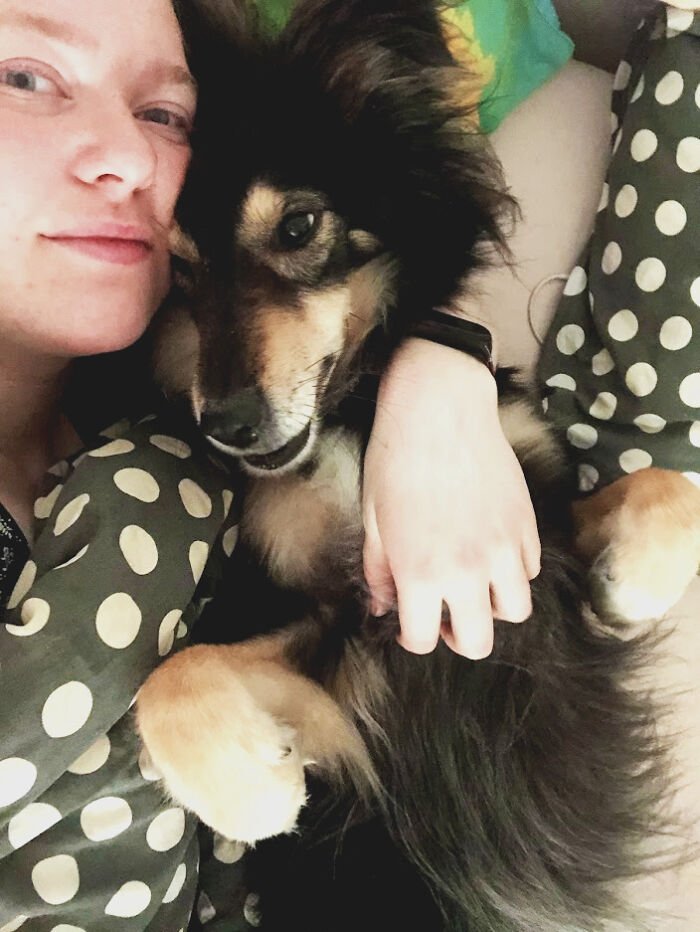 Here's Why You Should let Your Dog Sleep In Your Bed