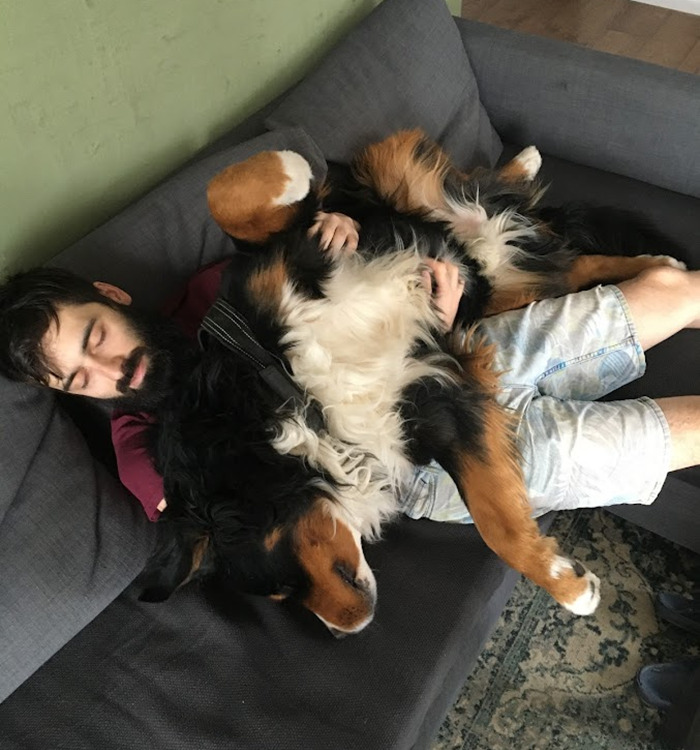 Here's Why You Should let Your Dog Sleep In Your Bed