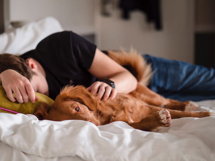Here's Why You Should let Your Dog Sleep In Your Bed