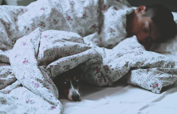 Here's Why You Should let Your Dog Sleep In Your Bed