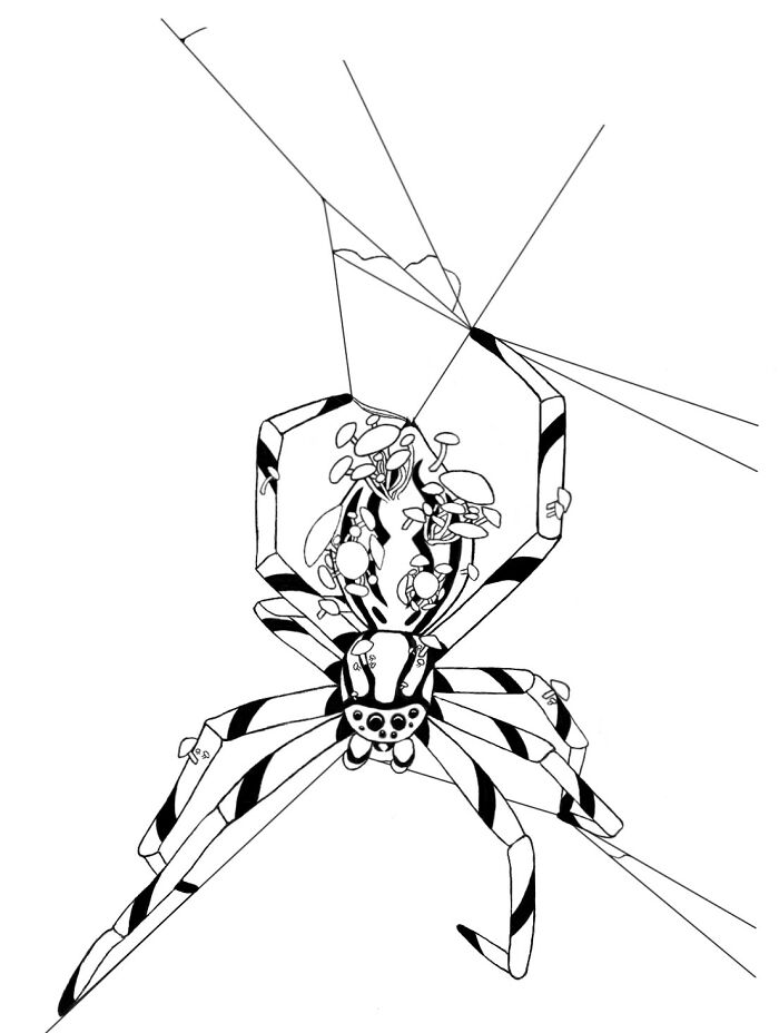 Fantasy Spider With Mushrooms