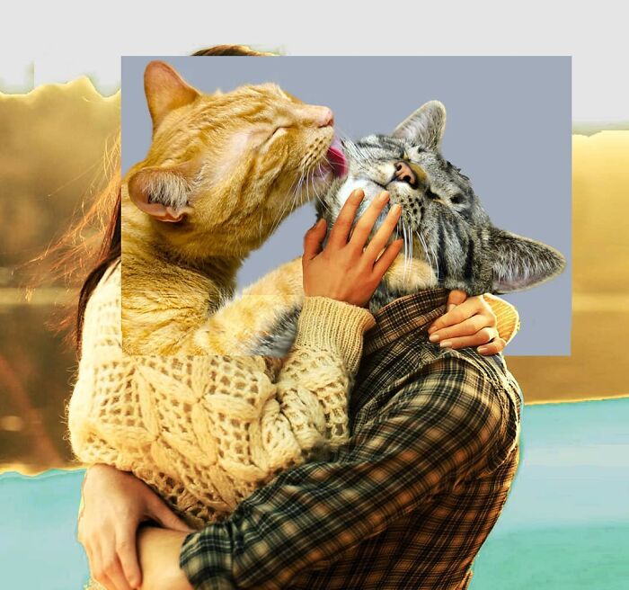 This Artist From Turkey Makes Incredibly Absurd Collages