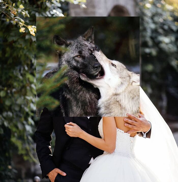 This Artist From Turkey Makes Incredibly Absurd Collages