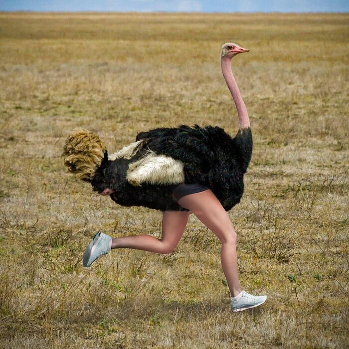 This Artist From Turkey Makes Incredibly Absurd Collages