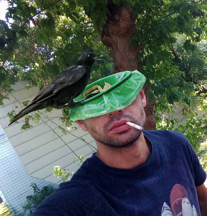 This Artist From Turkey Makes Incredibly Absurd Collages