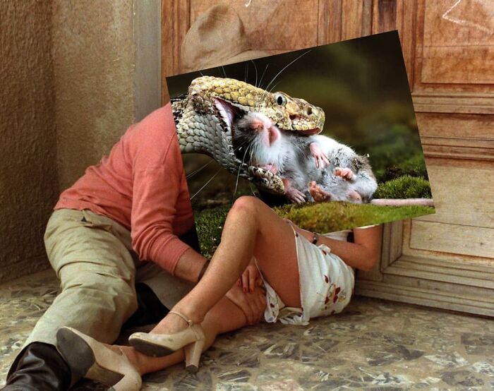 This Artist From Turkey Makes Incredibly Absurd Collages