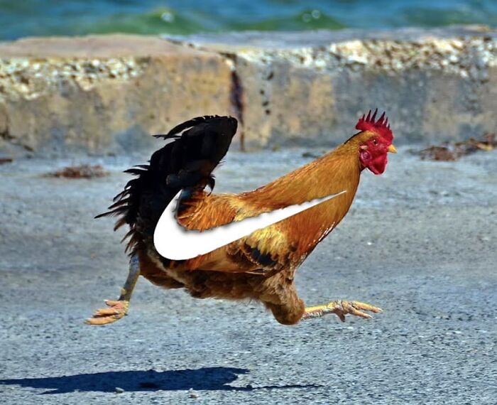 This Artist From Turkey Makes Incredibly Absurd Collages