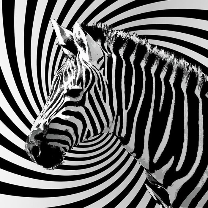 This Artist From Turkey Makes Incredibly Absurd Collages