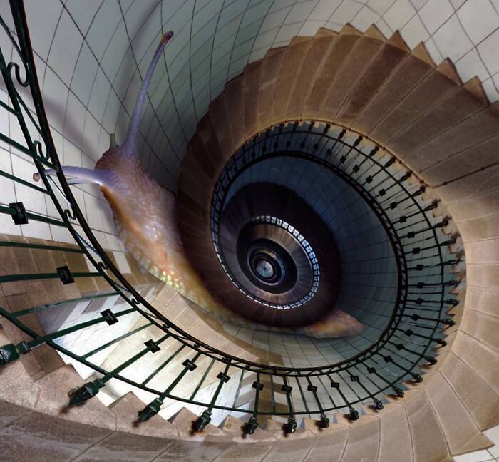 This Artist From Turkey Makes Incredibly Absurd Collages