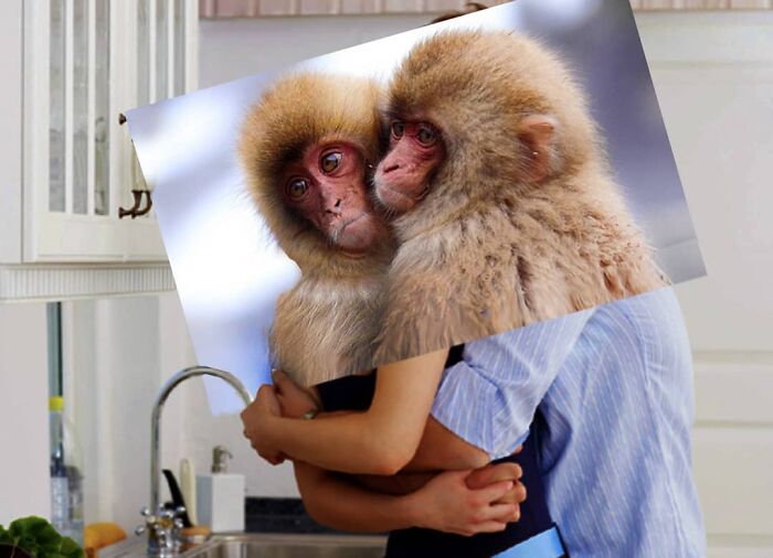 This Artist From Turkey Makes Incredibly Absurd Collages