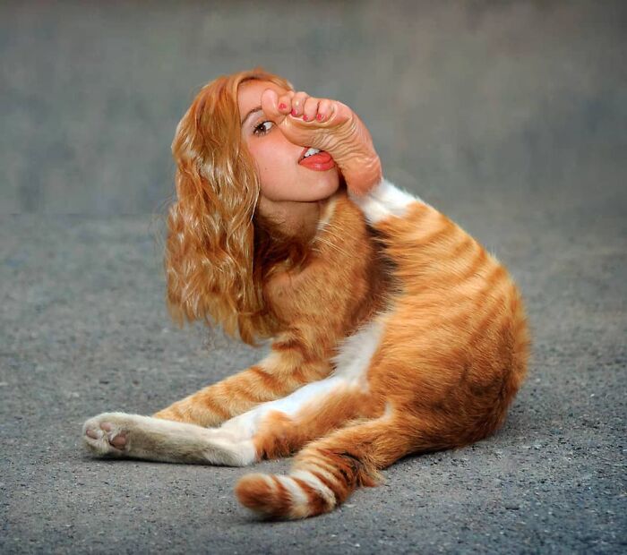 This Artist From Turkey Makes Incredibly Absurd Collages