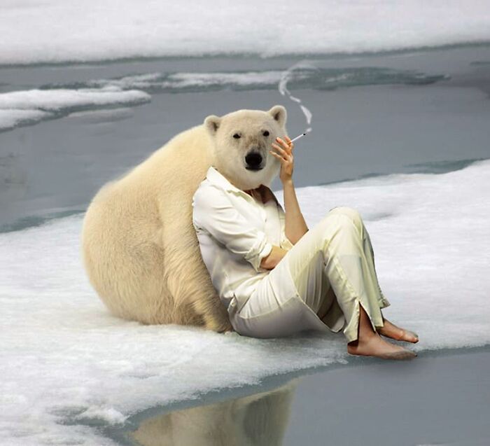 This Artist From Turkey Makes Incredibly Absurd Collages