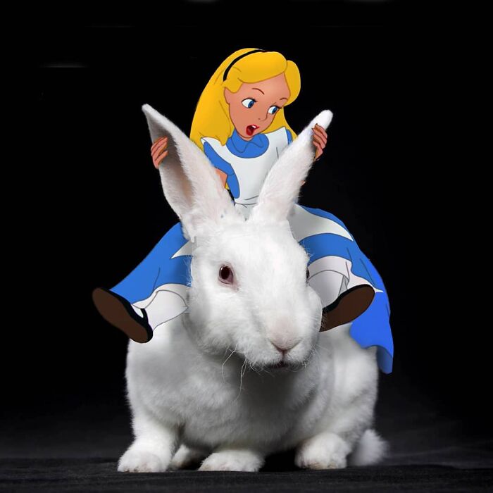 This Artist From Turkey Makes Incredibly Absurd Collages