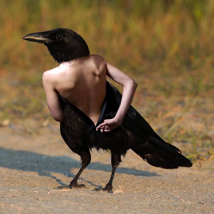 This Artist From Turkey Makes Incredibly Absurd Collages