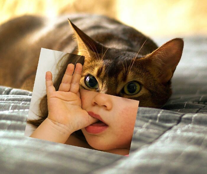 This Artist From Turkey Makes Incredibly Absurd Collages