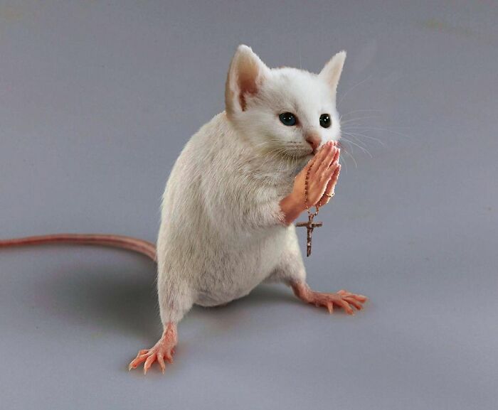 This Artist From Turkey Makes Incredibly Absurd Collages