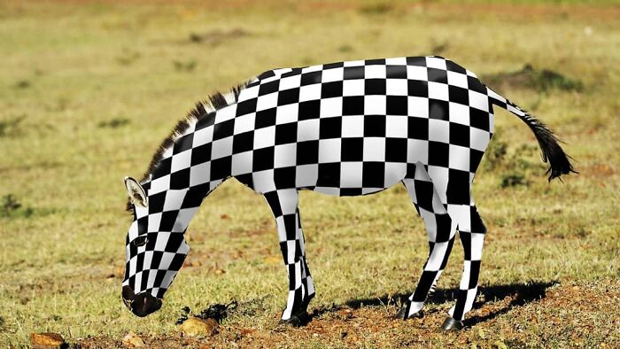 This Artist From Turkey Makes Incredibly Absurd Collages