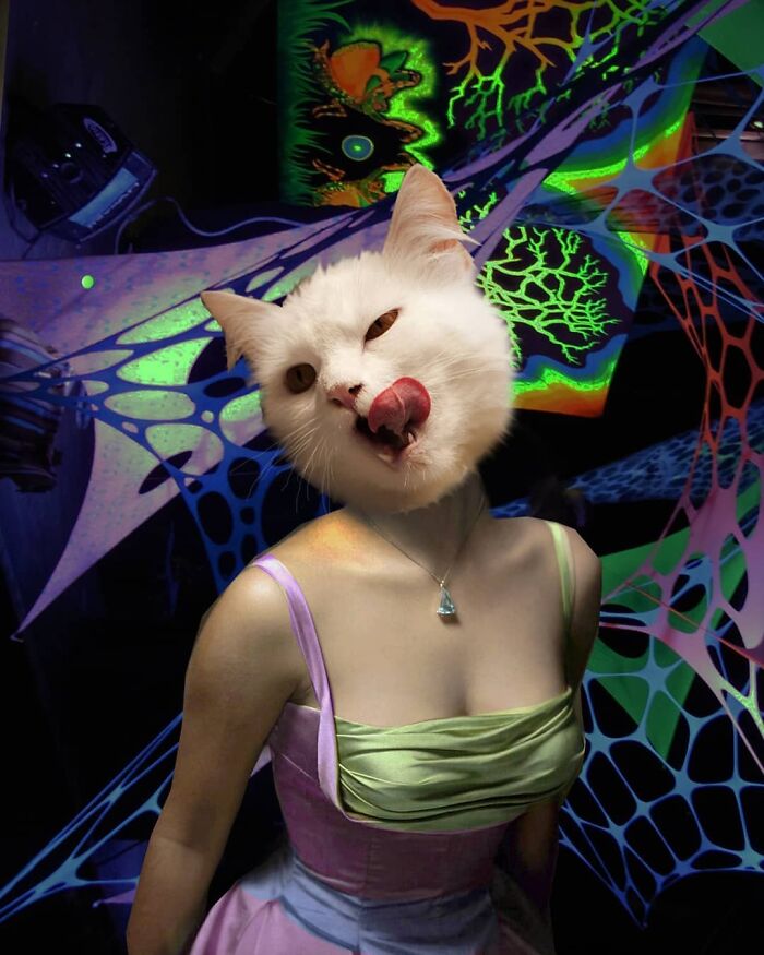 This Artist From Turkey Makes Incredibly Absurd Collages