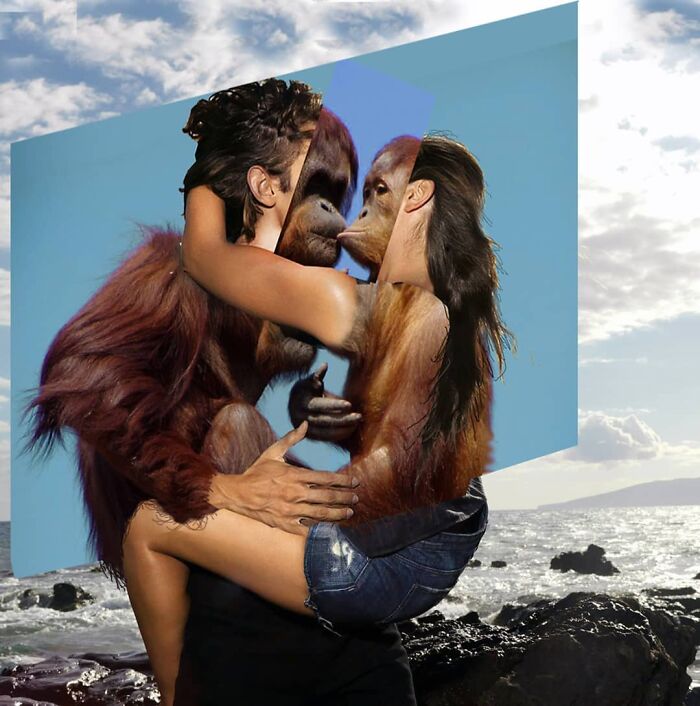 This Artist From Turkey Makes Incredibly Absurd Collages