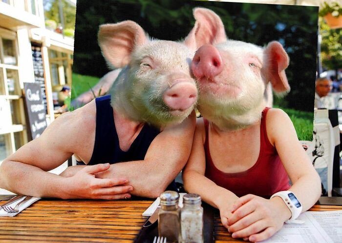 This Artist From Turkey Makes Incredibly Absurd Collages