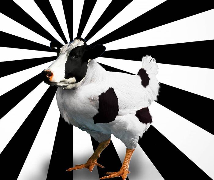 This Artist From Turkey Makes Incredibly Absurd Collages