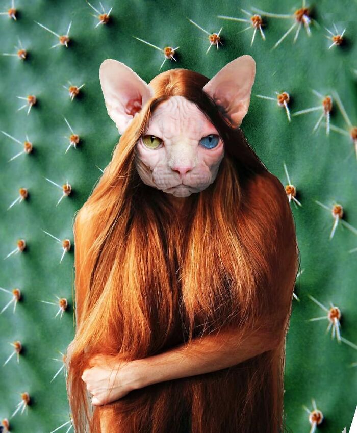 This Artist From Turkey Makes Incredibly Absurd Collages