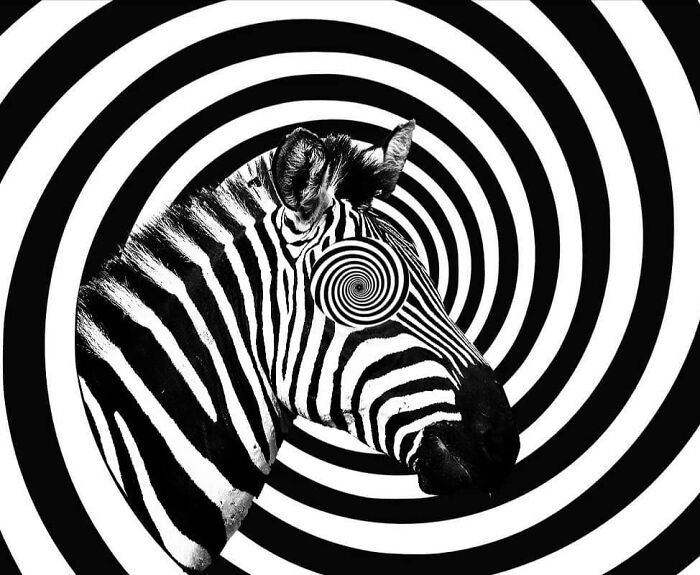 This Artist From Turkey Makes Incredibly Absurd Collages