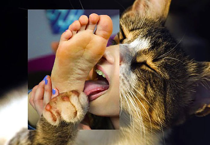 This Artist From Turkey Makes Incredibly Absurd Collages