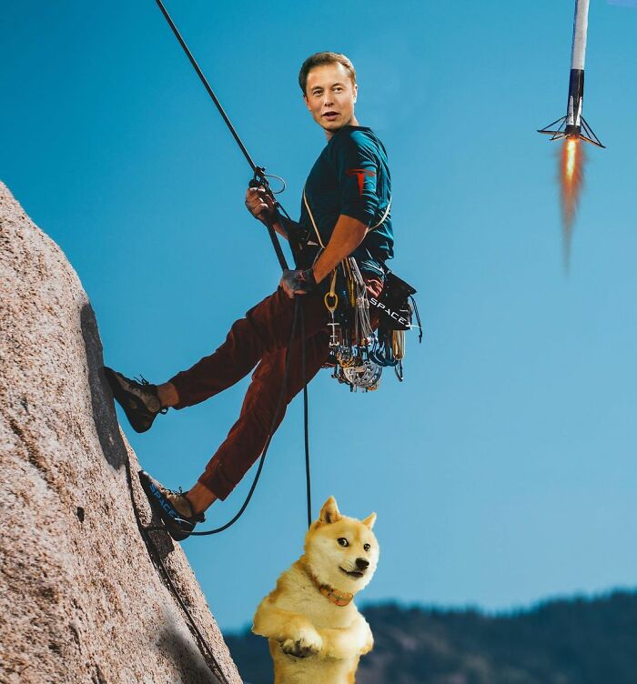 This Artist From Turkey Makes Incredibly Absurd Collages