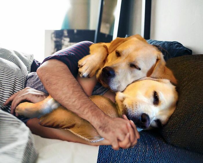 This Artist From Turkey Makes Incredibly Absurd Collages