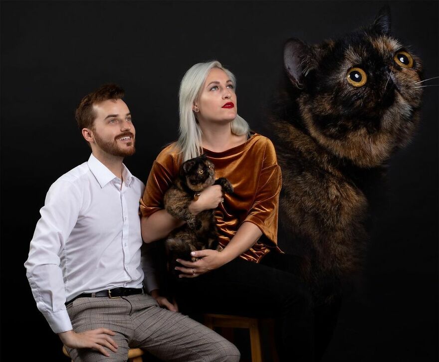 Pet Photography In The Style Of 80s Portraits 