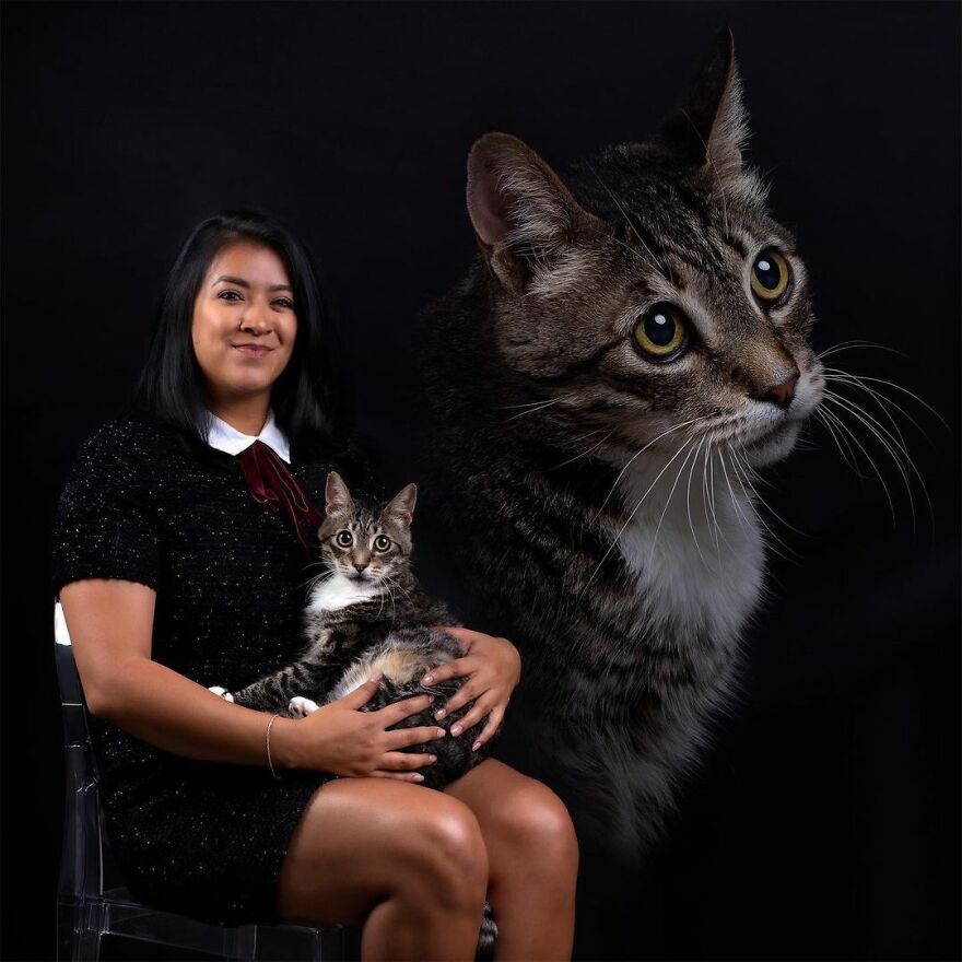 This Photographer Makes Fun And Quirky Portraits Of Its Owners With Their Pets (100 Pics)
