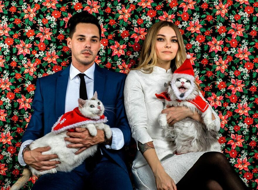 This Photographer Makes Fun And Quirky Portraits Of Its Owners With Their Pets (100 Pics)