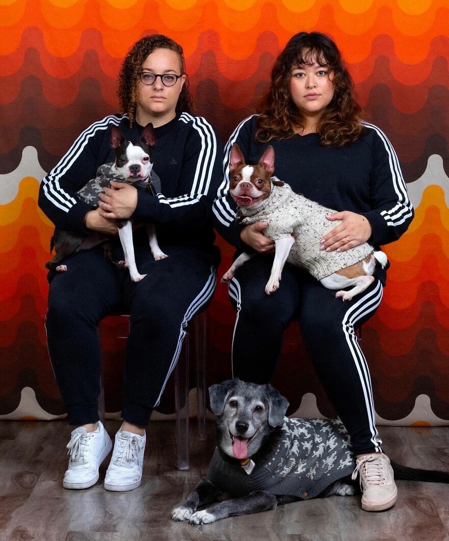 This Photographer Makes Fun And Quirky Portraits Of Its Owners With Their Pets (100 Pics)